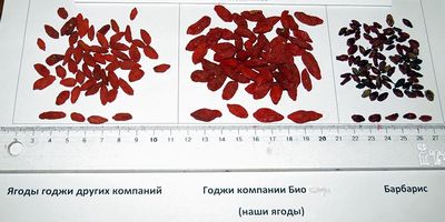 ягоды годжи купить оптом из китая от от производителя